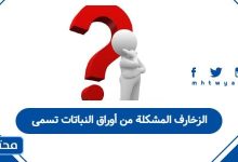 الزخارف المشكلة من أوراق النباتات تسمى