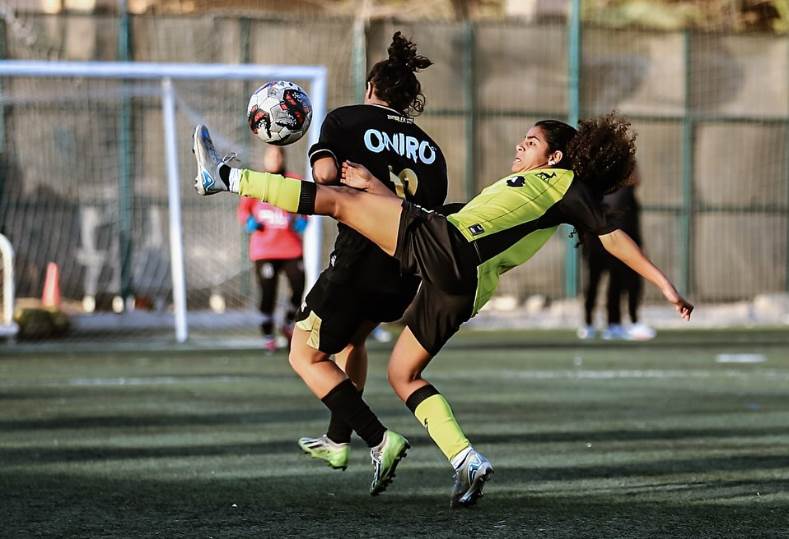الزمالك ووادي دجلة