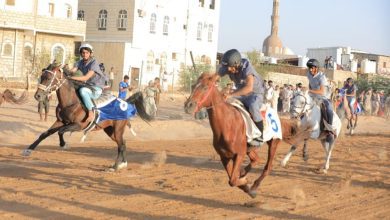 انطلاق تصفيات مهرجان مأرب للفروسية للعام 2025م احتفاء باعياد الثورة