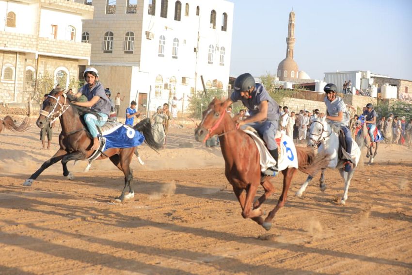 انطلاق تصفيات مهرجان مأرب للفروسية للعام 2025م احتفاء باعياد الثورة