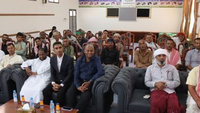 بدء دورة تدريبية للمزارعين في مجال خدمة ورعاية النخيل