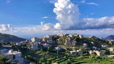 تعز.. قيود حوثية جديدة تمنع المزارعين من حصاد محاصيلهم دون حضور ممثليها