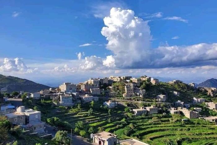 تعز.. قيود حوثية جديدة تمنع المزارعين من حصاد محاصيلهم دون حضور ممثليها