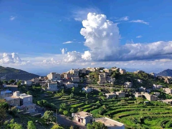 تعز.. قيود حوثية جديدة تمنع المزارعين من حصاد محاصيلهم دون حضور ممثليها