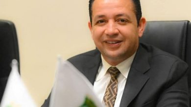 محمد أحمد سلامة