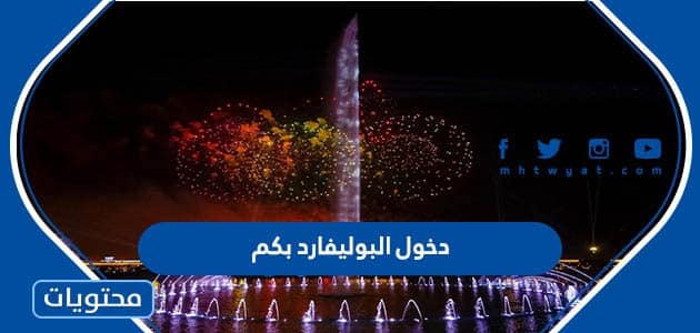 دخول البوليفارد بكم