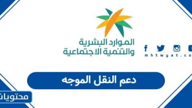 دعم النقل الموجه