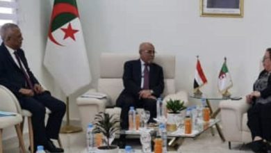 سفير اليمن يبحث مع وزيرة التعليم الجزائرية تعزيز التعاون في مجال التعليم الفني والتدريب المهني