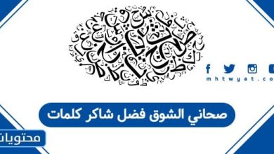 صحاني الشوق فضل شاكر كلمات