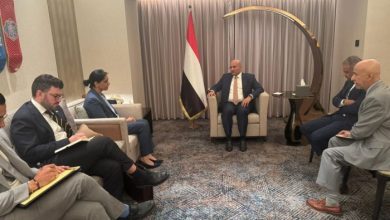 طارق صالح والسفيرة البريطانية يبحثان تعزيز التعاون بين اليمن والمملكة المتحدة