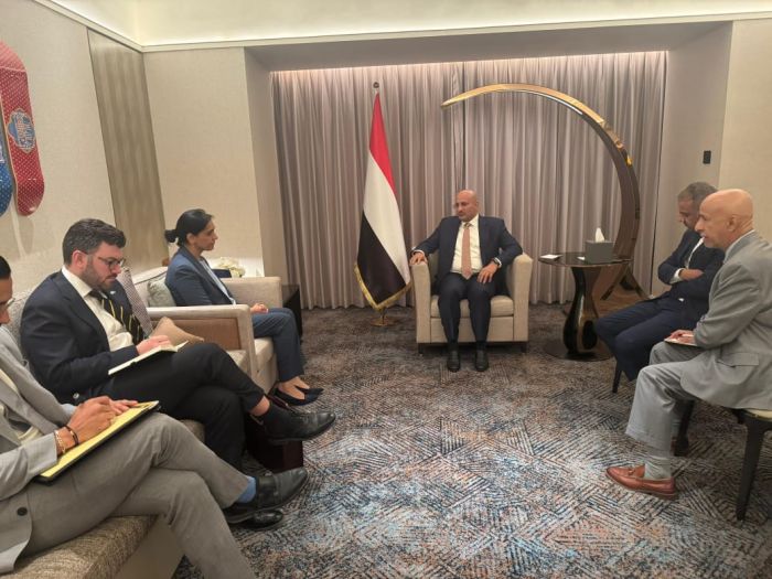 طارق صالح والسفيرة البريطانية يبحثان تعزيز التعاون بين اليمن والمملكة المتحدة