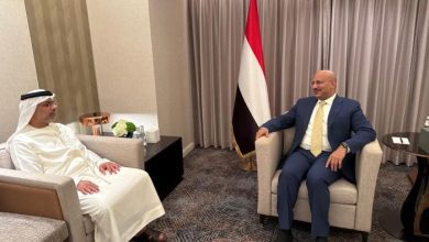 طارق صالح يستقبل السفير الإماراتي لدى اليمن