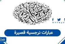 عبارات نرجسية قصيرة