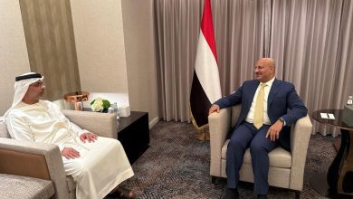 عضو مجلس القيادة طارق صالح يلتقي السفير الإماراتي