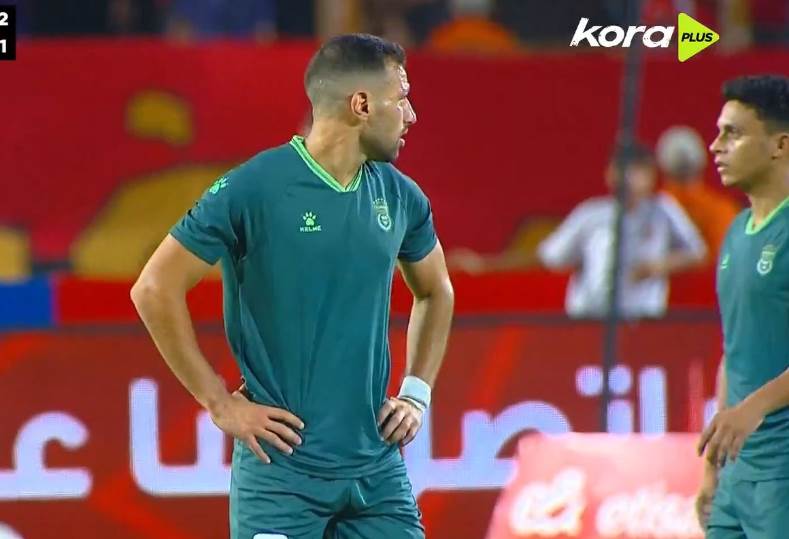 فادي فريد