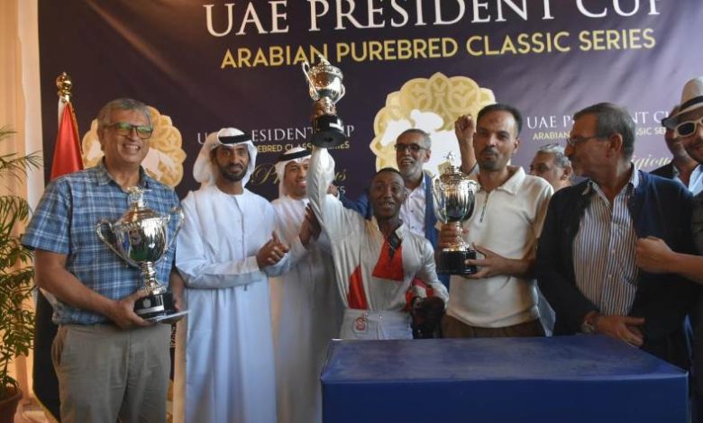 كأس رئيس دولة الإمارات للخيول