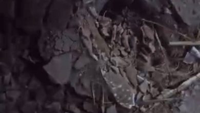 فيديو| أضرار القصف المدفعي الحوثي الذي استهدف منزل مواطن في مقبنة