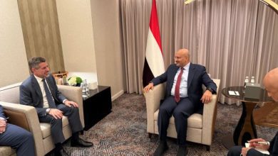 فيديو| طارق صالح يبحث مع السفير الأمريكي الإصلاحات الاقتصادية وجهود مكافحة التهريب