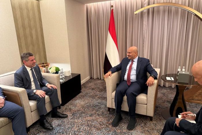 فيديو| طارق صالح يبحث مع السفير الأمريكي الإصلاحات الاقتصادية وجهود مكافحة التهريب