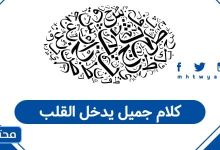 كلام جميل يدخل القلب