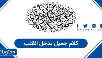 كلام جميل يدخل القلب