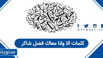 كلمات الا وانا معاك فضل شاكر