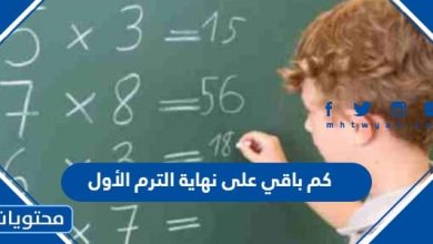 كم باقي على نهاية الترم الأول 1447