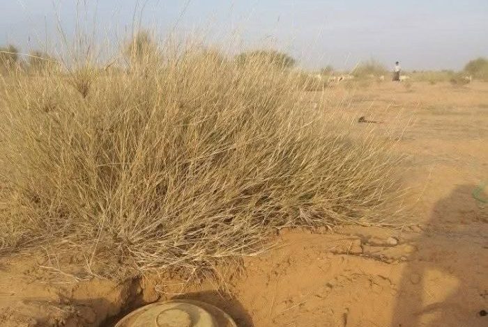 لغم حوثي يتسبب بنفوق قطيع ماشية في حجة وإنقاذ طفل راعٍ