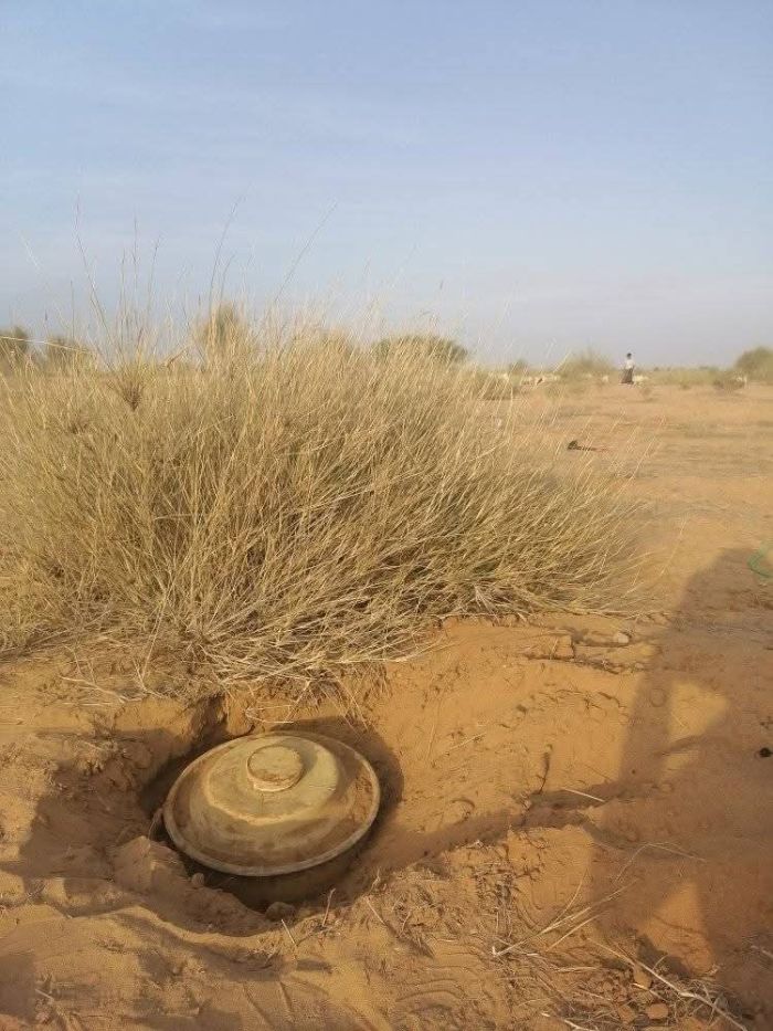 لغم حوثي يتسبب بنفوق قطيع ماشية في حجة وإنقاذ طفل راعٍ