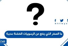 ما الصخر الذي ينتج عن الرسوبيات الخشنة مدببة