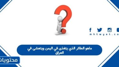 ماهو الطائر الذي يتغذى في اليمن ويتعشى في العراق