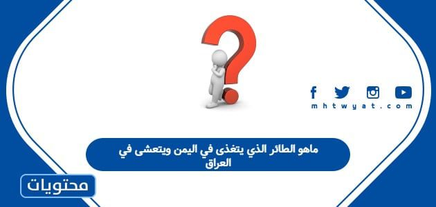 ماهو الطائر الذي يتغذى في اليمن ويتعشى في العراق