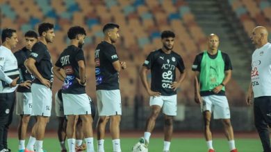 حسام حسن وتريزيجيه