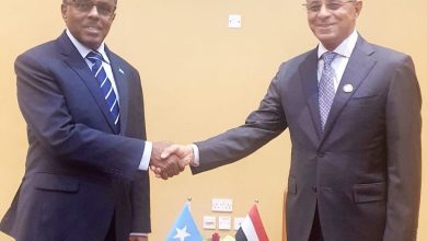 مصطفى يبحث مع وزير الدولة للشؤون الخارجية الصومالي التطورات في منطقة القرن الأفريقي والبحر الأحمر