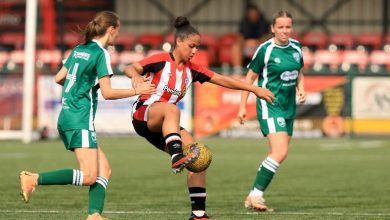 نور أبو الخير