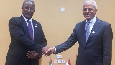 نائب وزير الخارجية يلتقي وكيل وزارة الخارجية السوداني