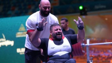 هانى عبد الهادي