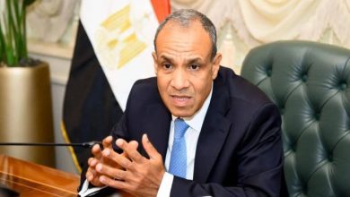 وزير الخارجية المصري: هجمات الحوثيين على السفن كلفتنا خسائر بـ9 مليارات دولار