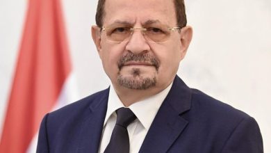 وزير الخارجية يصل القاهرة للمشاركة في أعمال منتدى أسوان للسلم والتنمية المستدامة