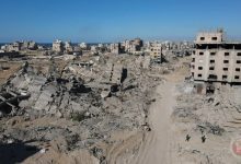 "فاو" تحذر من كارثة إنسانية وزراعية غير مسبوقة في قطاع غزة