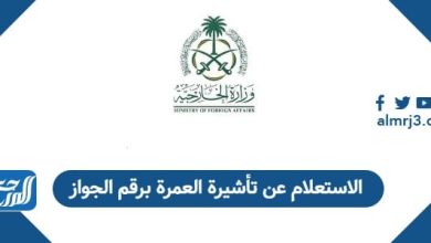 الاستعلام عن تأشيرة العمرة برقم الجواز