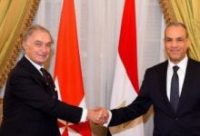 وزير الخارجية يؤكد أهمية المشاركة الدولية الفاعلة لإعمار غزة