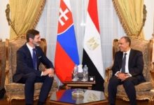 وزير الخارجية يستعرض مع نظيره السلوفاكى مؤتمر إعادة إعمار غزة الشهر الجارى