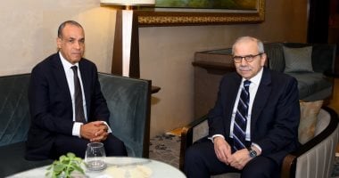 وزير الخارجية يجدد التأكيد على موقف مصر الثابت فى دعم سيادة لبنان