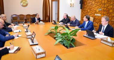 وزير الخارجية يؤكد أهمية تثبيت وقف إطلاق النار فى غزة