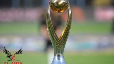 مجموعات دوري أبطال إفريقيا.. الأهلي على رأس المجموعة الثانية