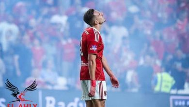 جراديشار: من الصعب التحرك في الشوارع المصرية وتعلمت بعض كلمات اللغة العربية