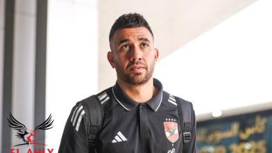 تريزيجيه: توروب اختيار موفق وسوف نحقق شئ كبير معه