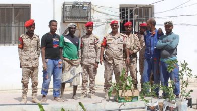 اخبار-حضرموت-|-#الشرطة-العسكرية-في-#المكلا-تنفذ-حملة-تشجير-لتحسين-بيئة-العمل-في-ساحة-القيادة