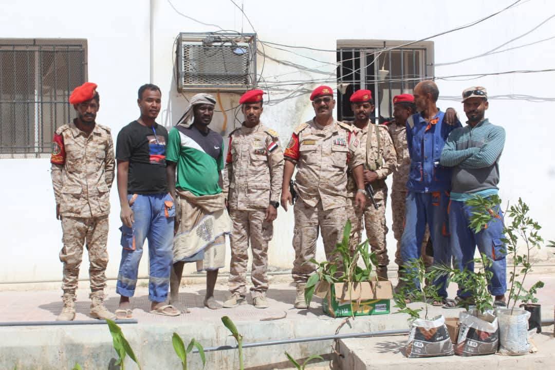 اخبار-حضرموت-|-#الشرطة-العسكرية-في-#المكلا-تنفذ-حملة-تشجير-لتحسين-بيئة-العمل-في-ساحة-القيادة